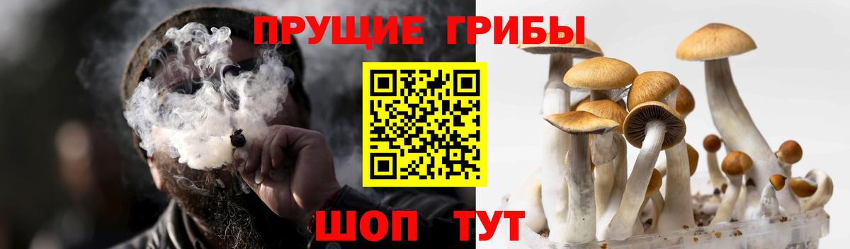 Галлюциногенные грибы мицелий  Вход с VPN  Краснокаменск  Галлюциногенные грибы ЛСД 